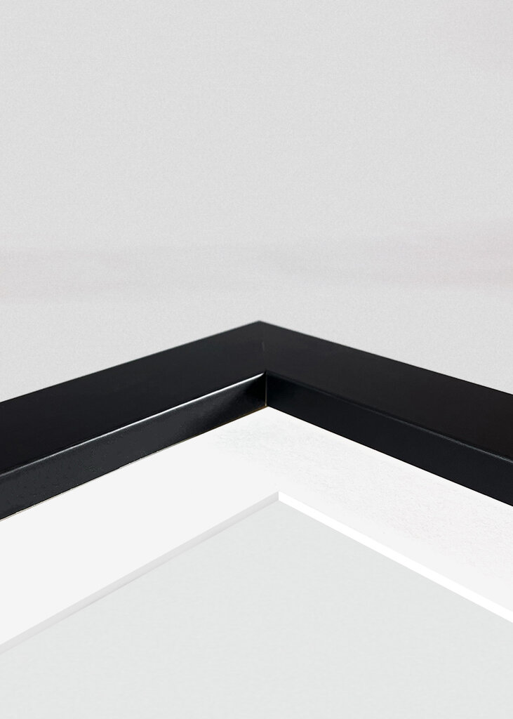 Snöflingor på röd lada