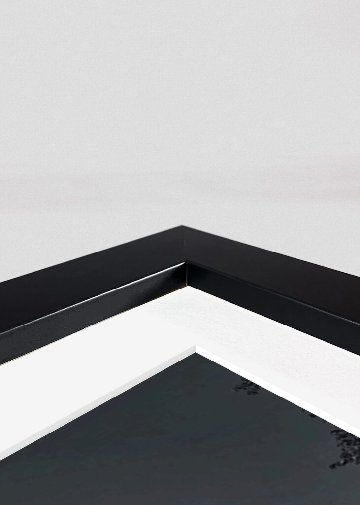 Among houses & Katarina Church