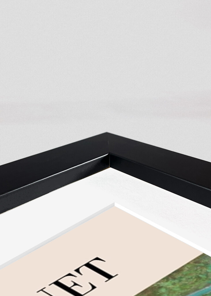 Japonská lávka pro pěší 1899