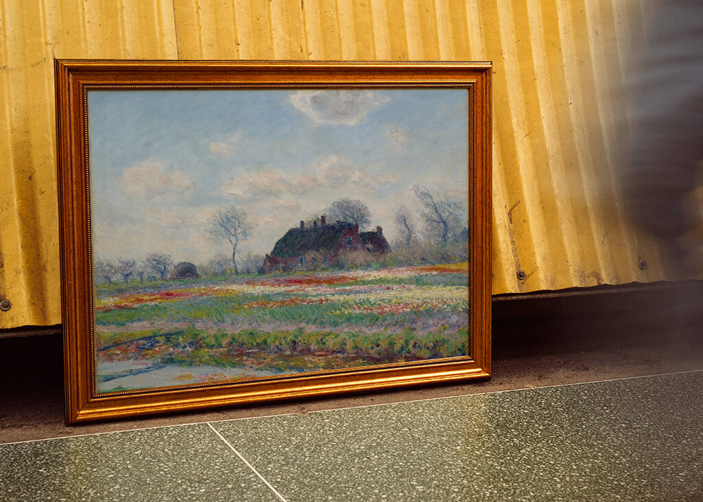 Champs de tulipes à Sassenheim