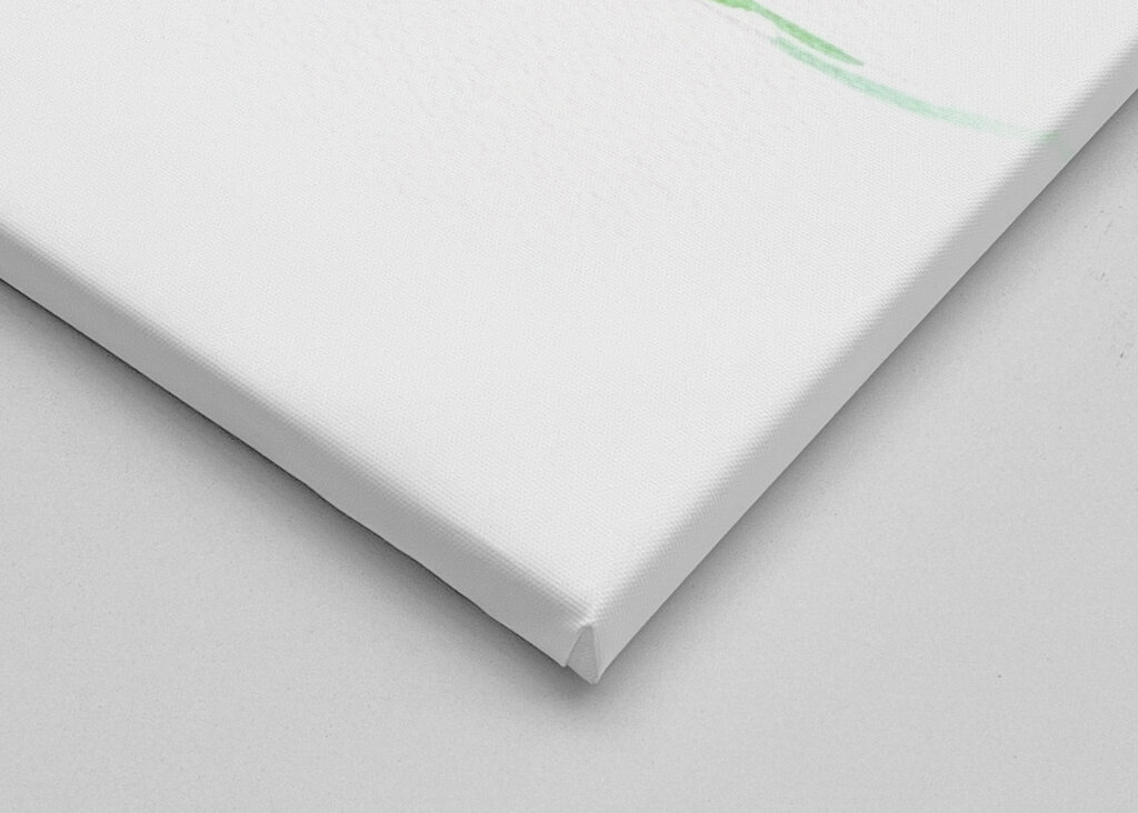 Amapolas rojas y margaritas