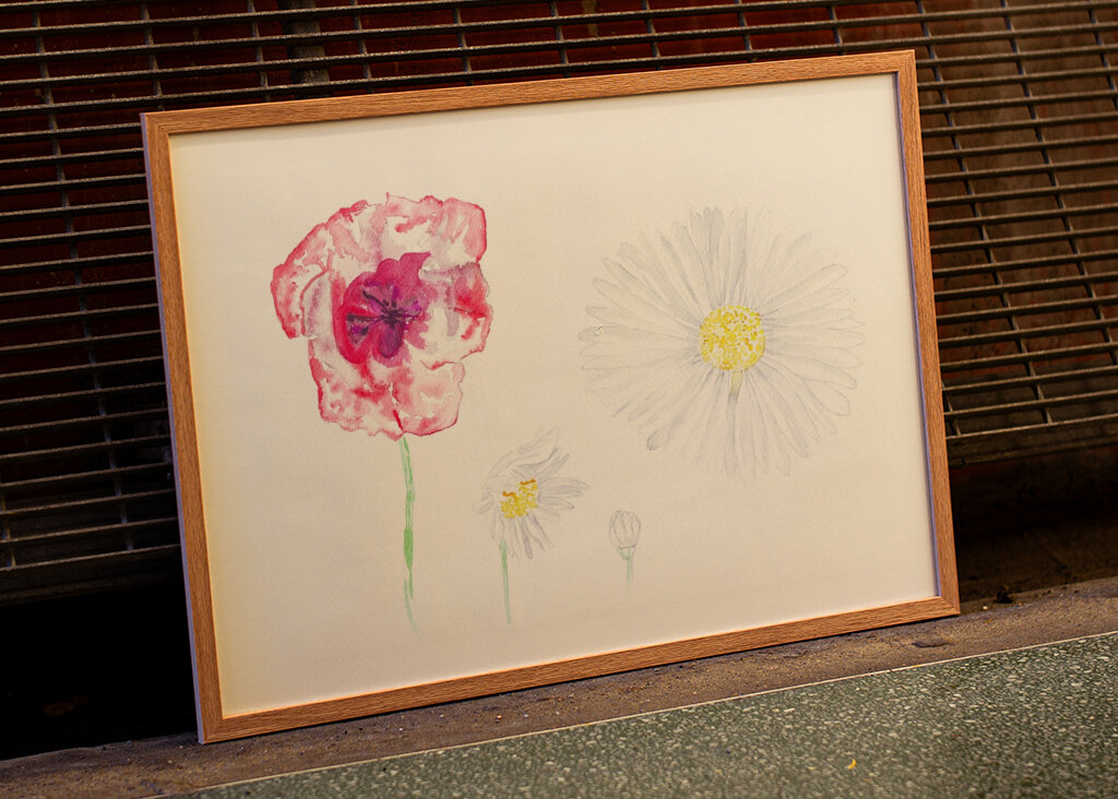 Amapolas rojas y margaritas