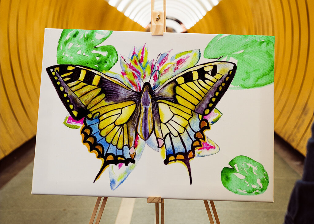 Butterfly and Water Lilie