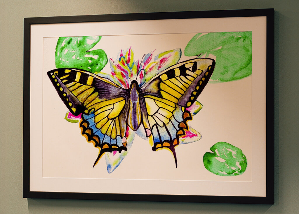 Butterfly and Water Lilie