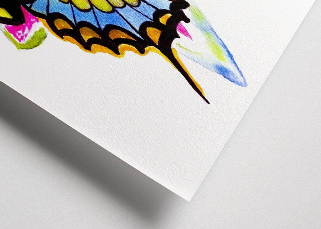 Butterfly and Water Lilie