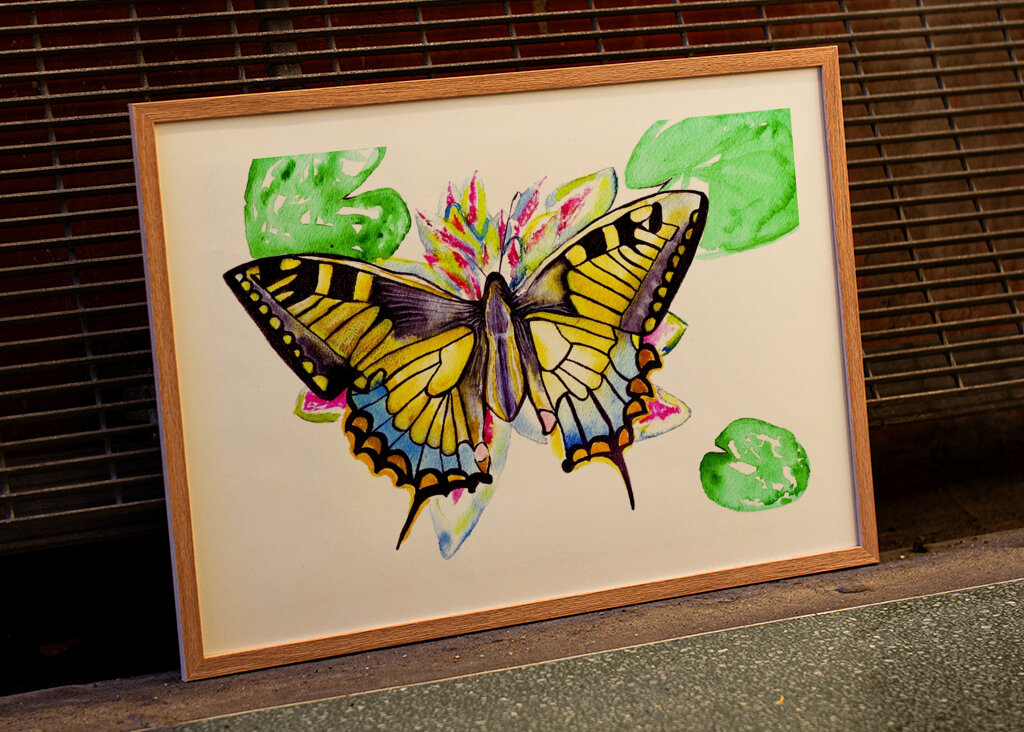 Butterfly and Water Lilie