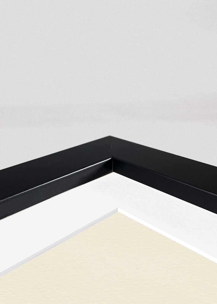 Sardines Tin Can - Kitchen Art