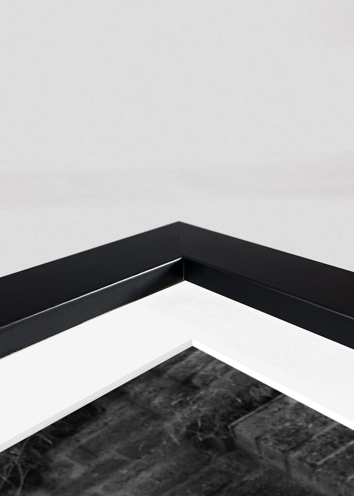 Ruínas do mosteiro de Alvastra corredor 2