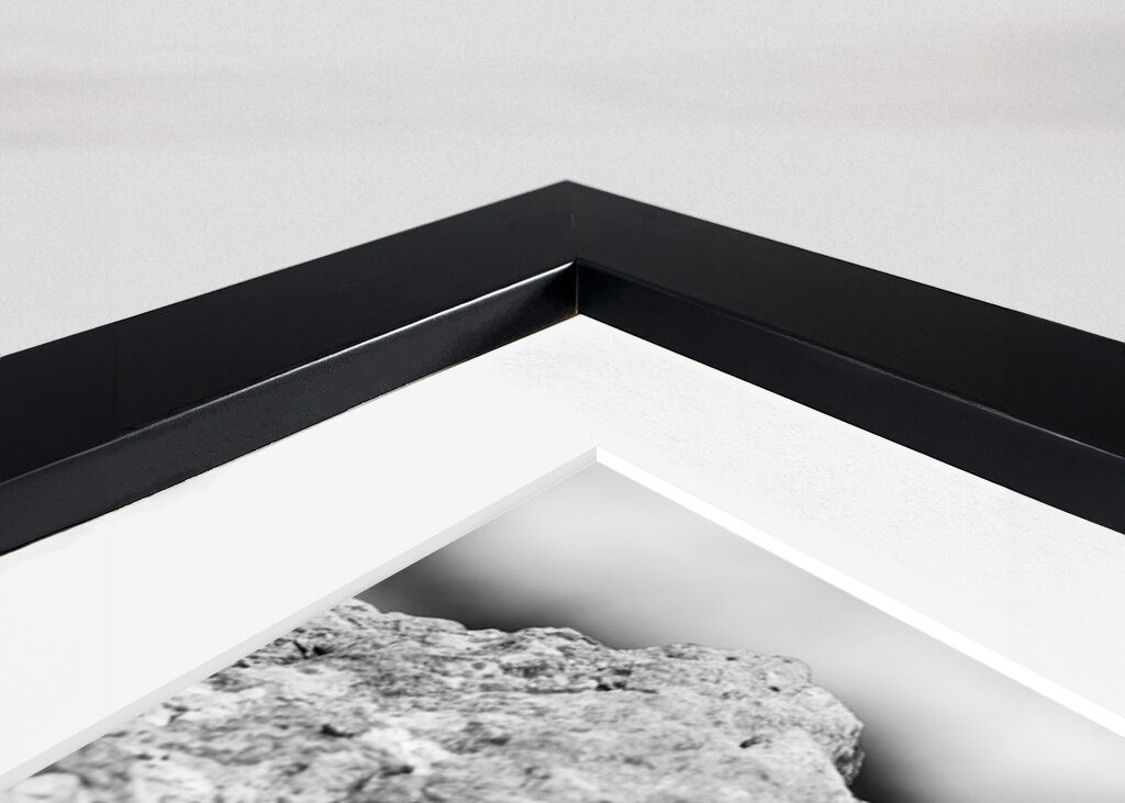 Tordmular i svartvitt