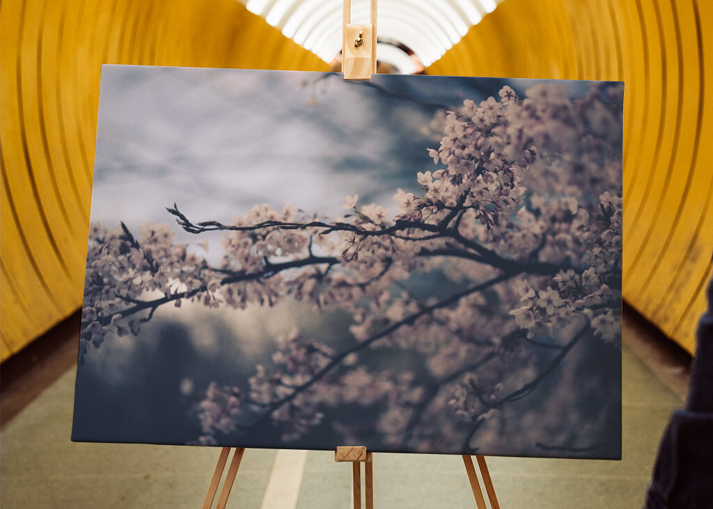 yearning for spring to arrive