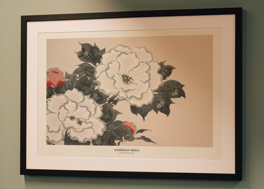 Weiße Pfingstrose Eleganz