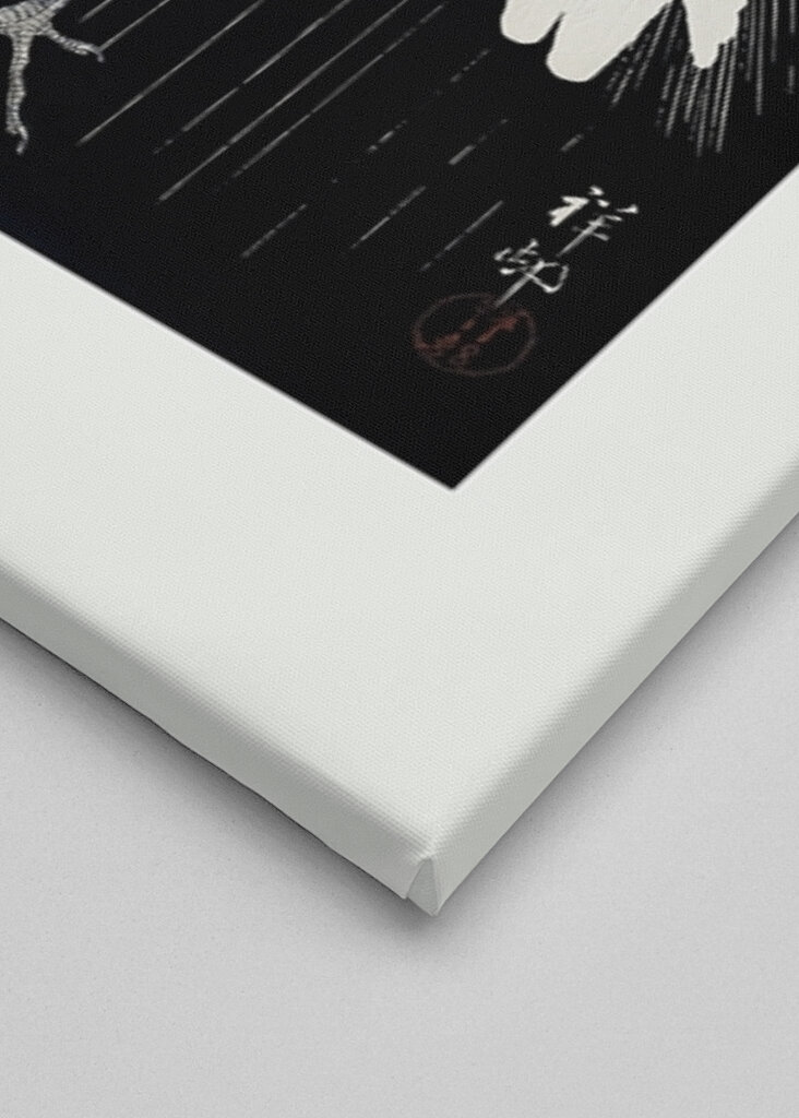 Garza bajo la lluvia