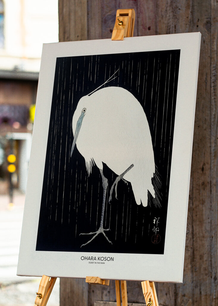 Garza bajo la lluvia