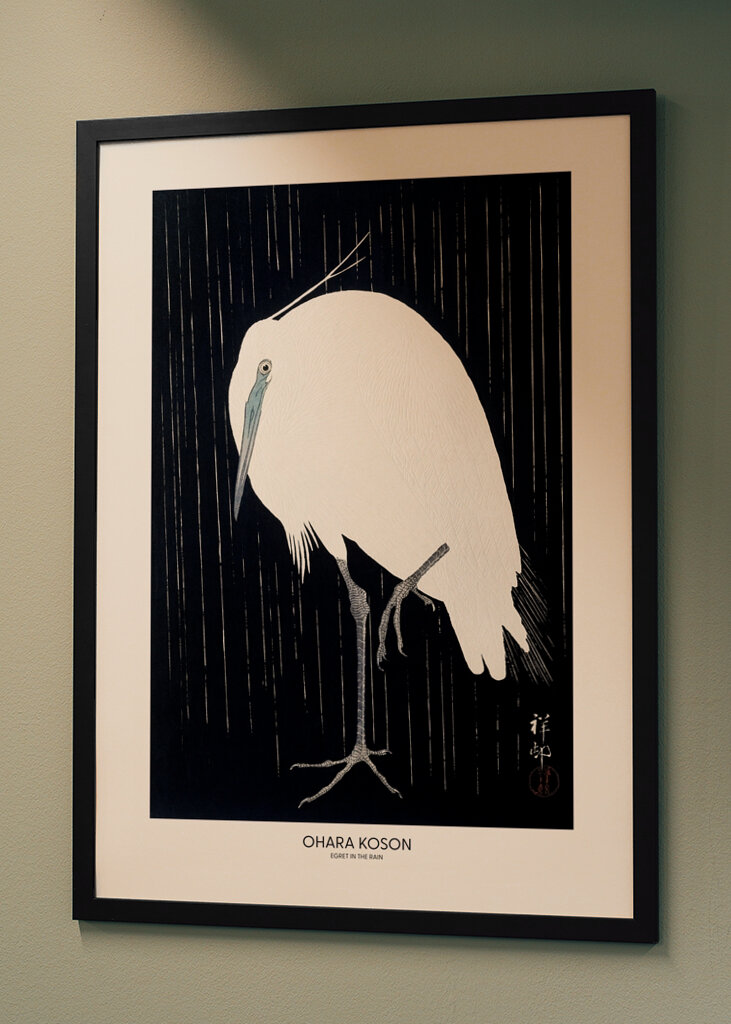 Garza bajo la lluvia