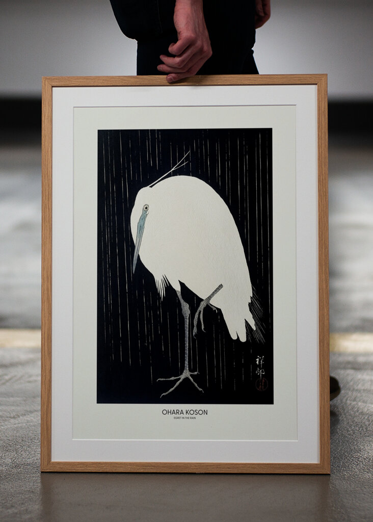 Garza bajo la lluvia