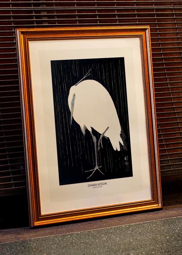 Garza bajo la lluvia