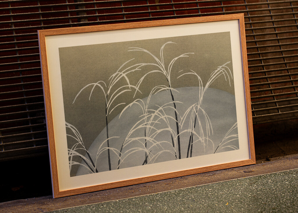 Månbelysta vassrör