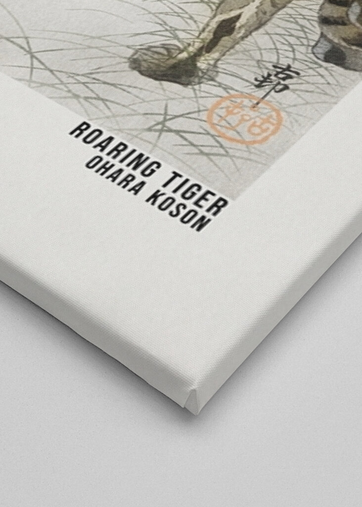 Tygří řev za měsíčního svitu