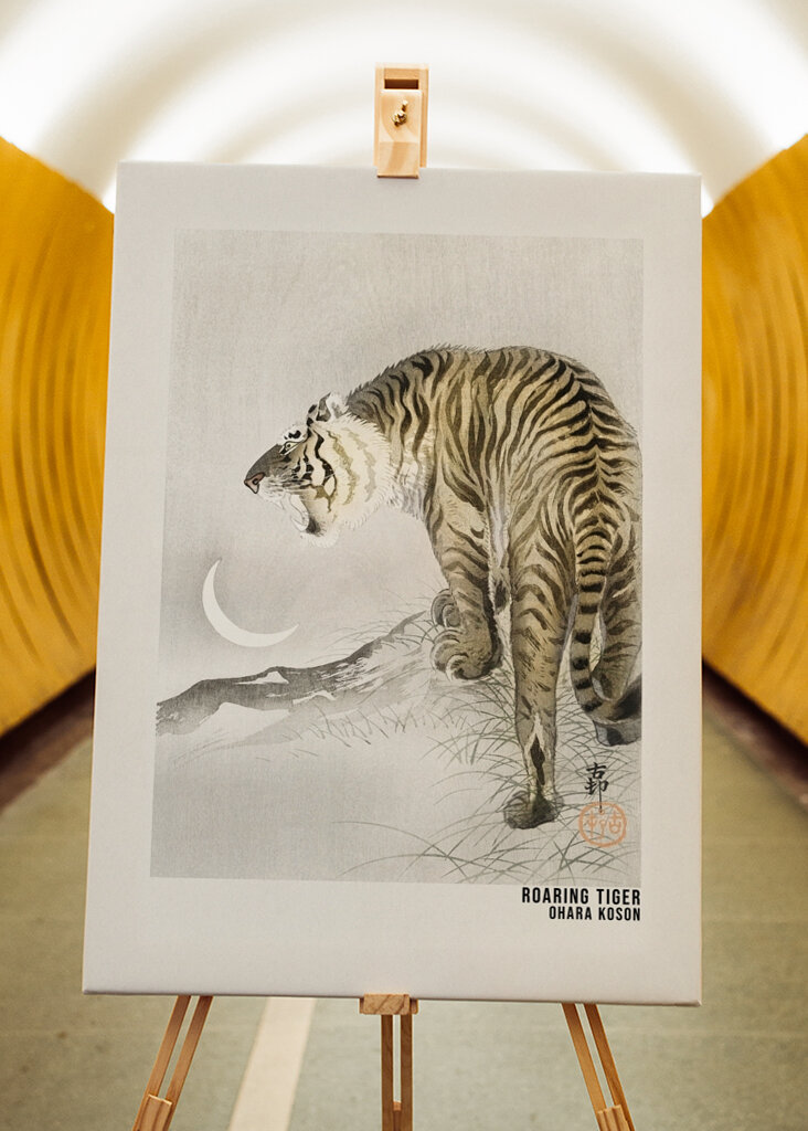 Tygří řev za měsíčního svitu