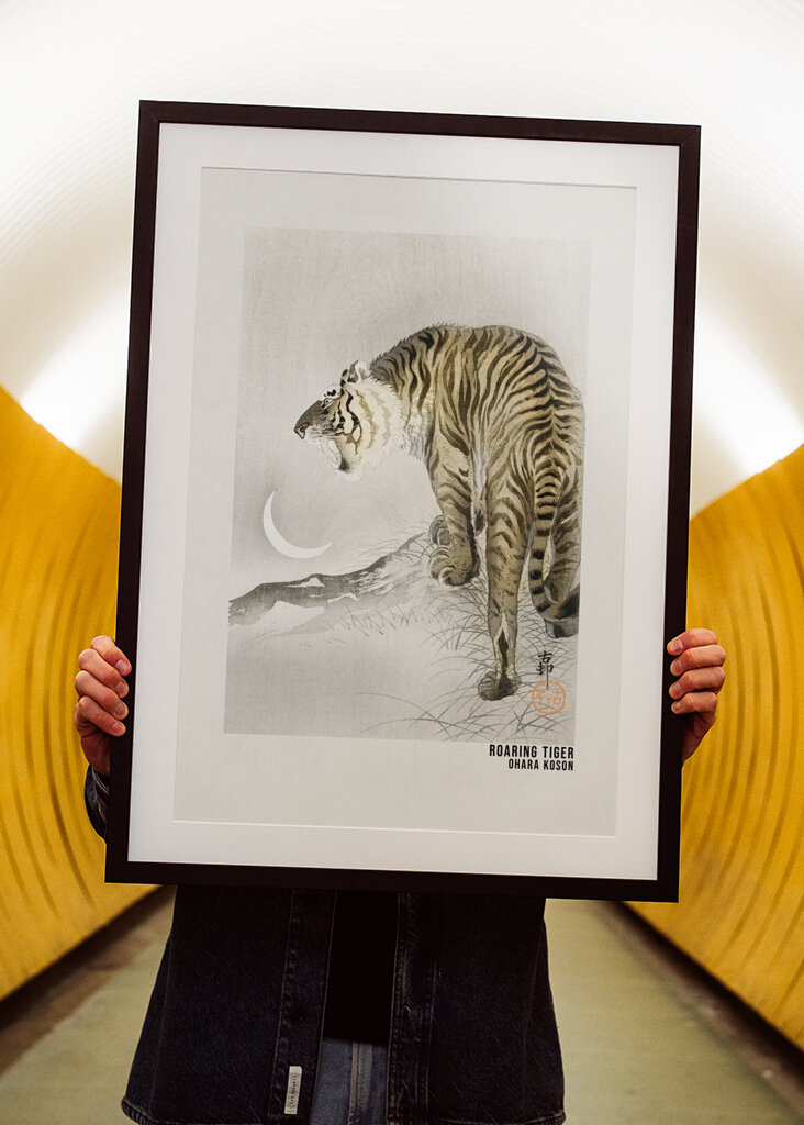 Tygří řev za měsíčního svitu