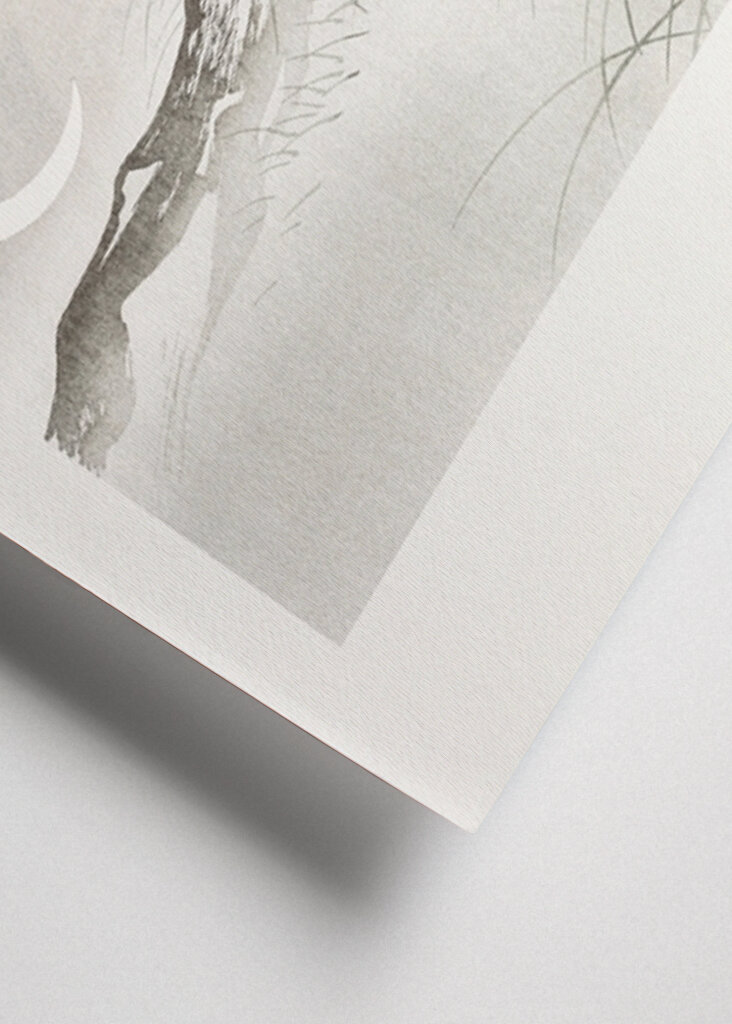 Tygří řev za měsíčního svitu