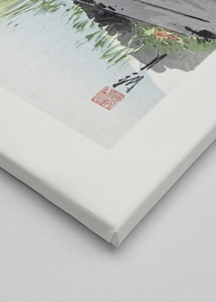 Tranquil Stroll Scene