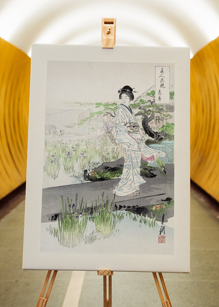 Tranquil Stroll Scene