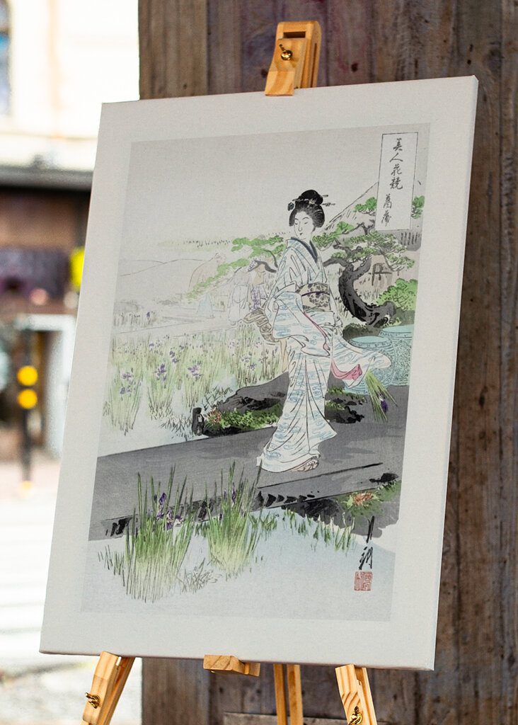 Tranquil Stroll Scene