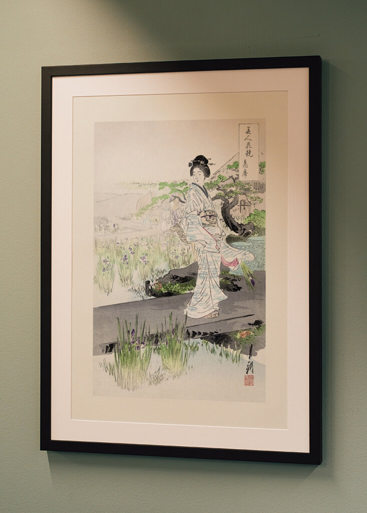 Tranquil Stroll Scene