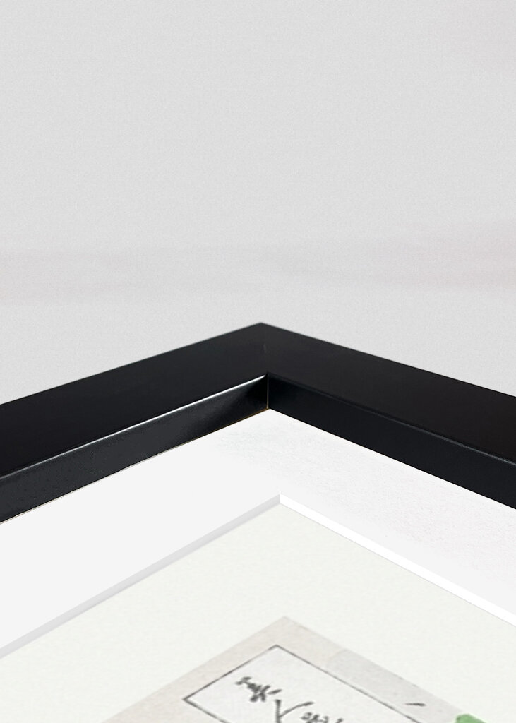 Tranquil Stroll Scene