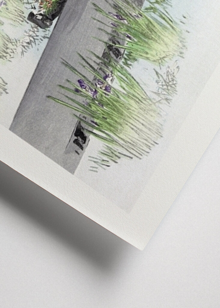 Tranquil Stroll Scene