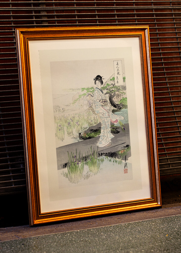 Tranquil Stroll Scene