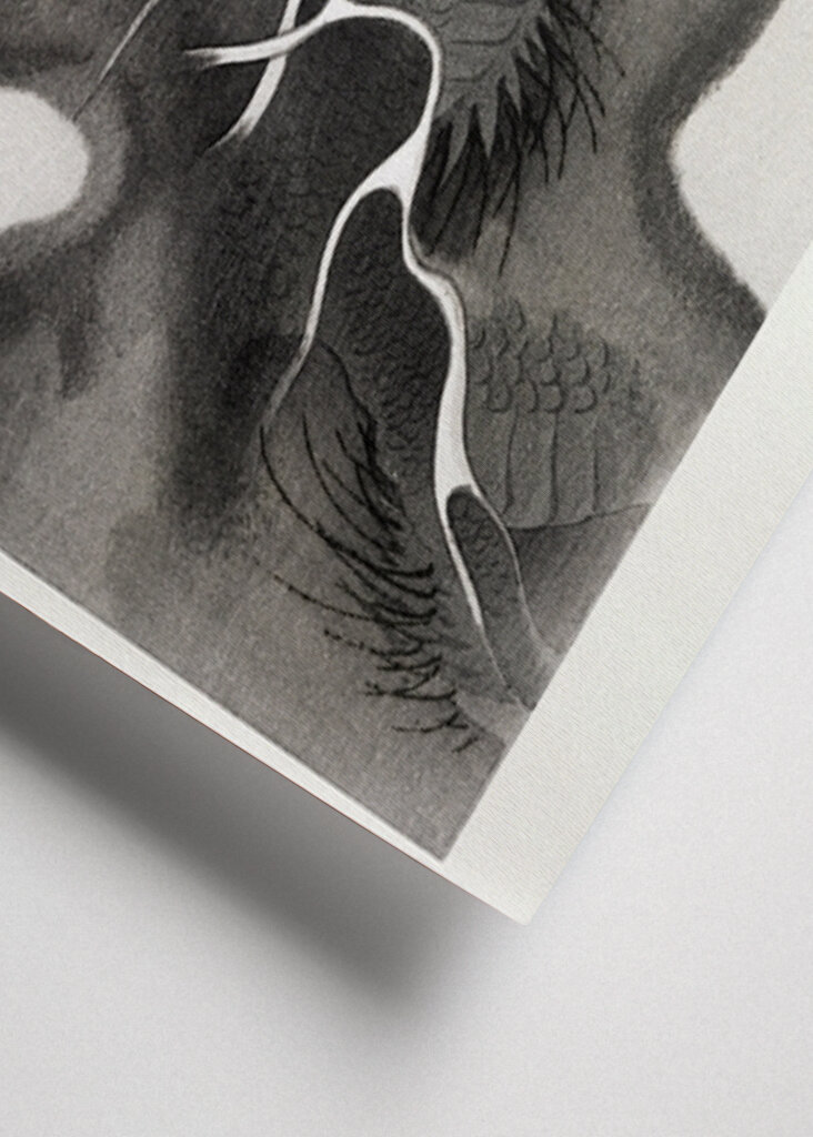 Voile du dragon mystique