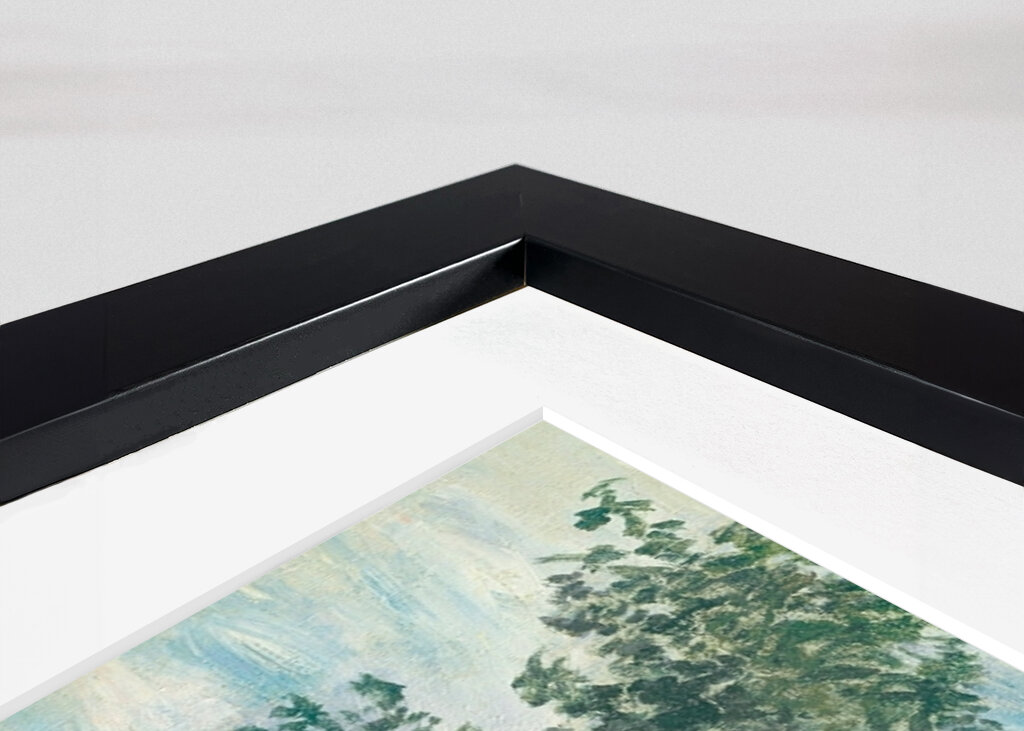 Poppy Fields Near Argenteuil 