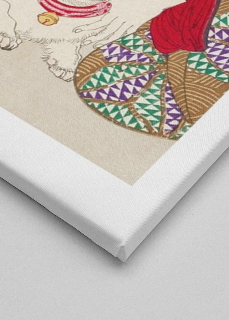 Sen s kočkovitými šelmami