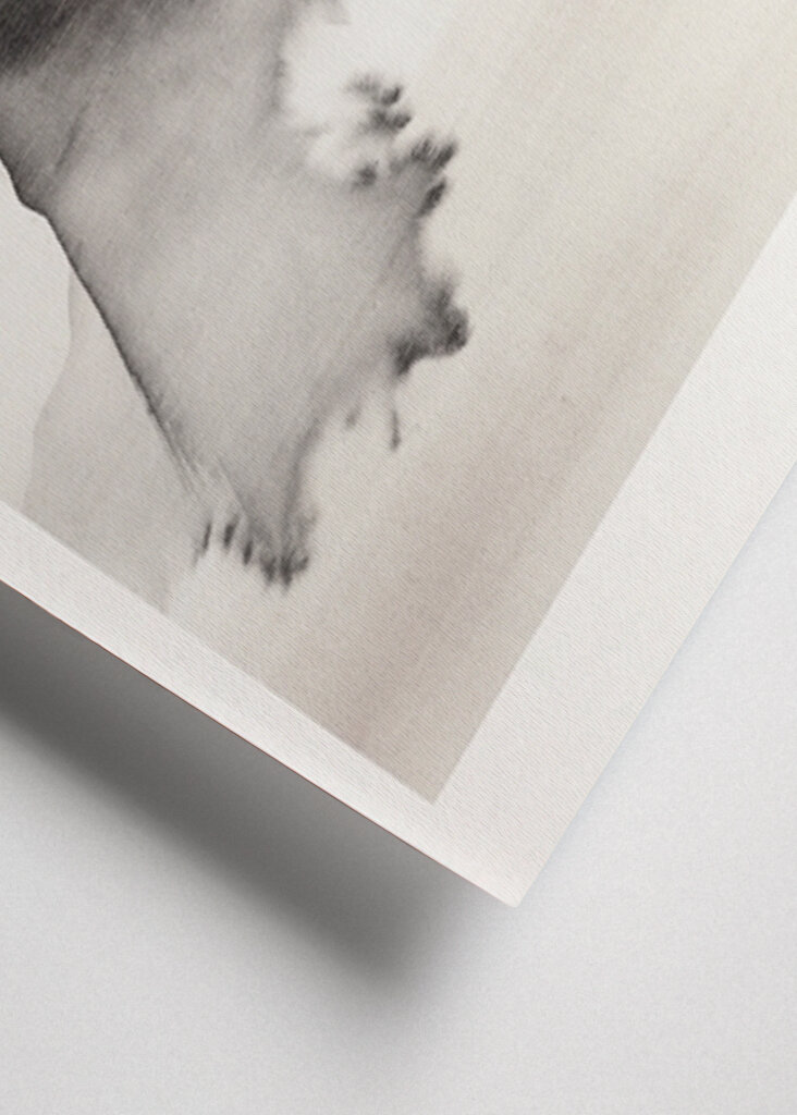 Serene Misty Mountain