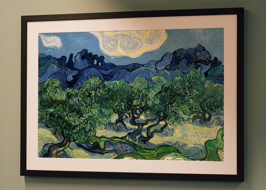 Wirbelnder Olivenhain