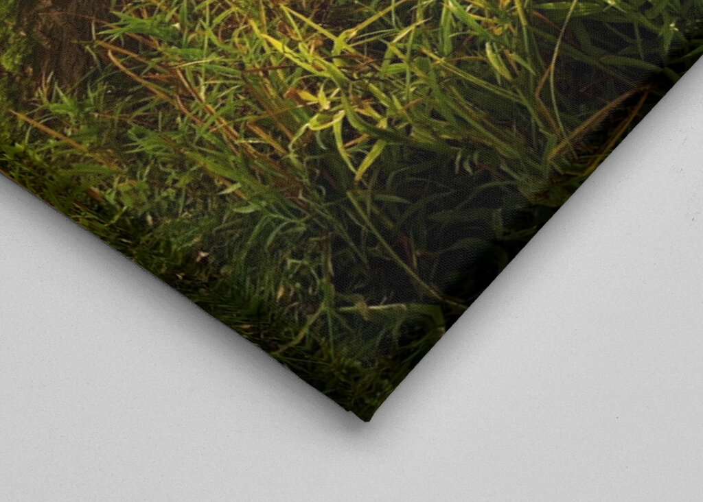 Tranquil Lakeside Dawn