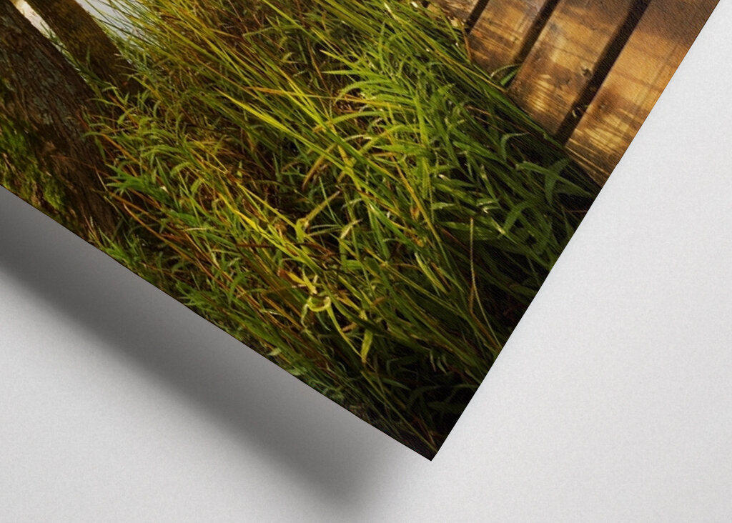 Tranquil Lakeside Dawn