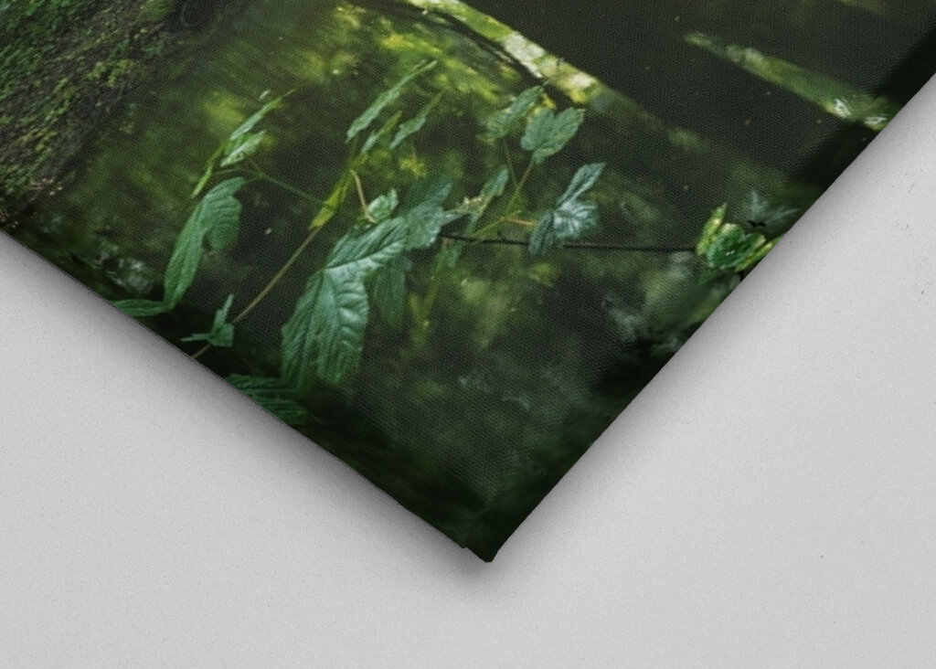 Ausstrahlung des Waldes