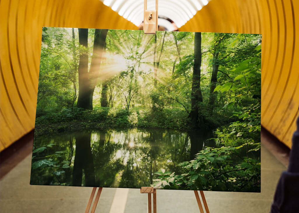 Ausstrahlung des Waldes