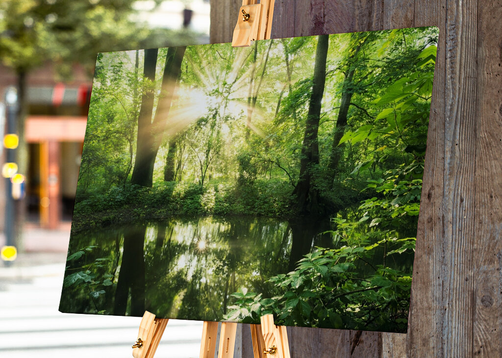 Ausstrahlung des Waldes