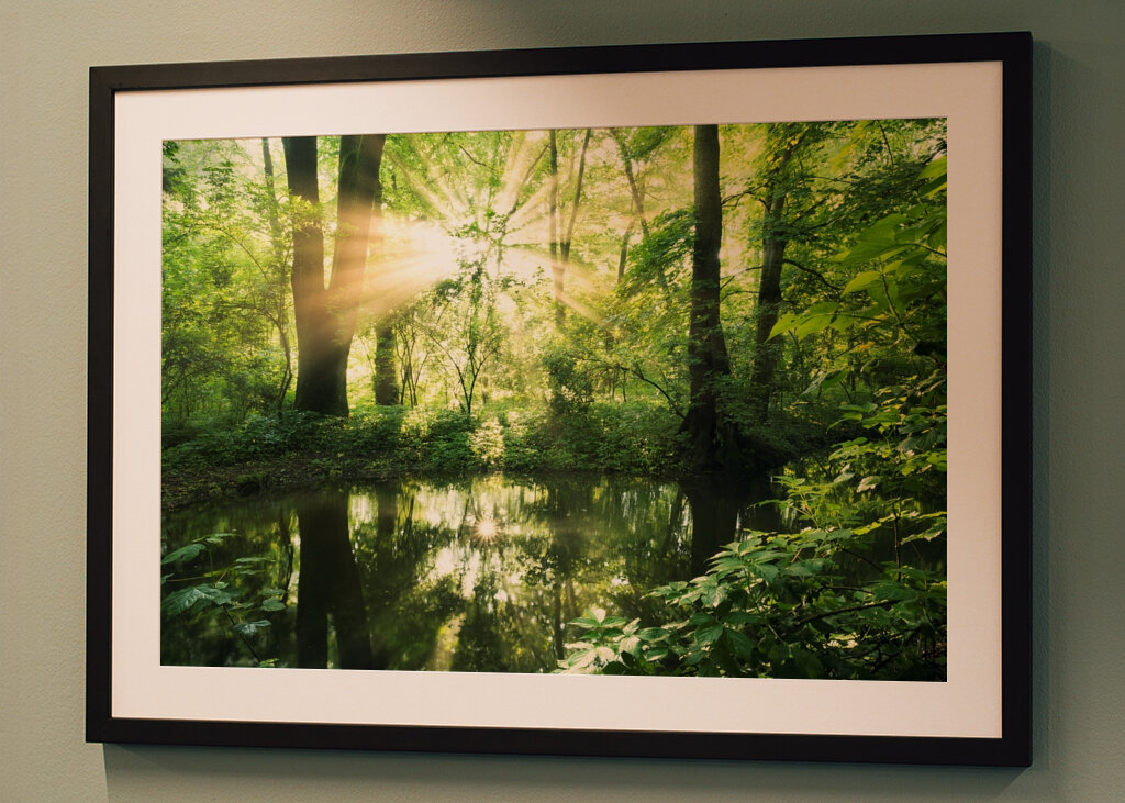 Ausstrahlung des Waldes