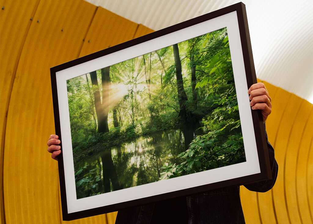 Ausstrahlung des Waldes