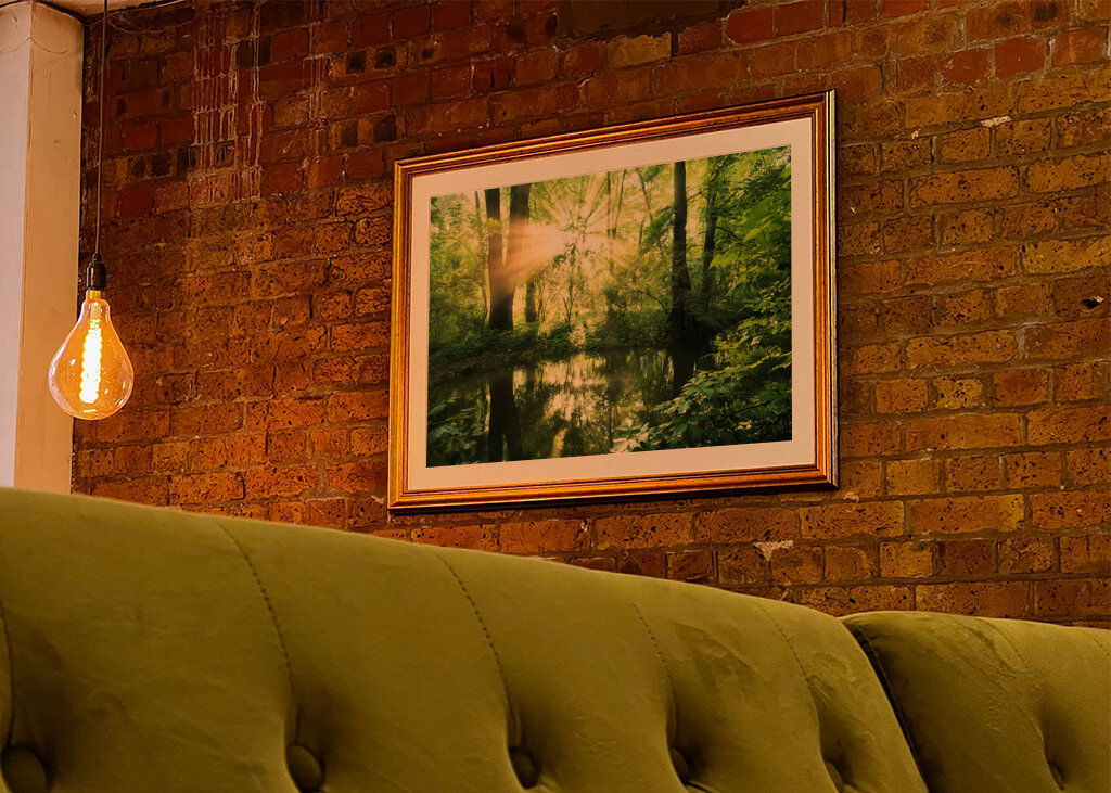 Ausstrahlung des Waldes