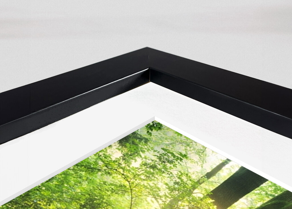 Ausstrahlung des Waldes