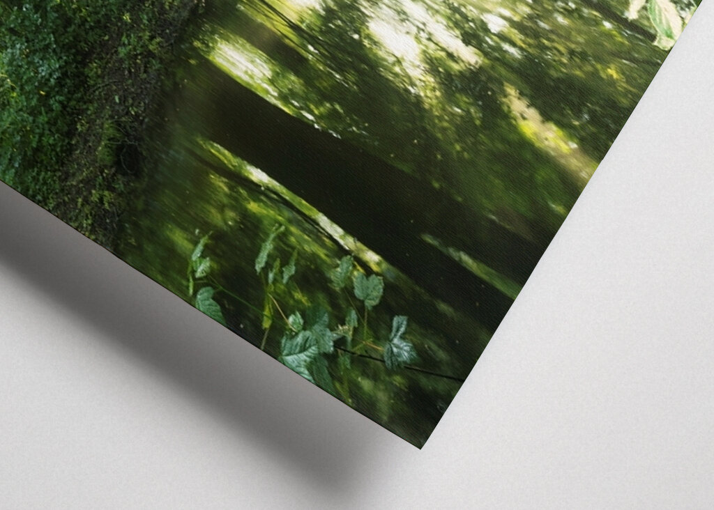 Ausstrahlung des Waldes