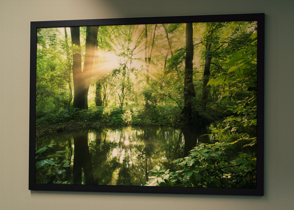 Ausstrahlung des Waldes