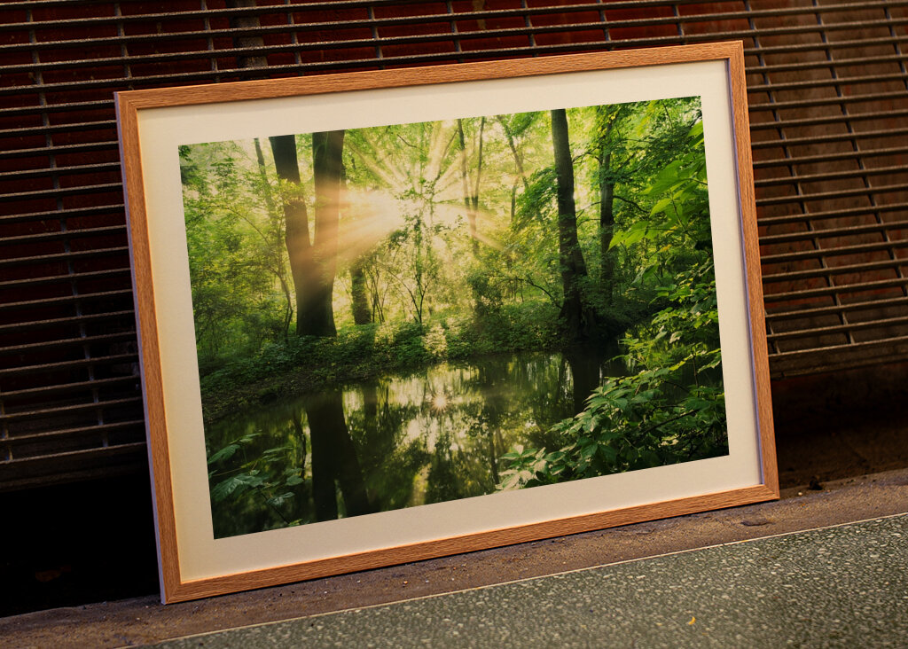 Ausstrahlung des Waldes