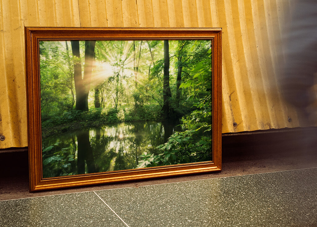 Ausstrahlung des Waldes